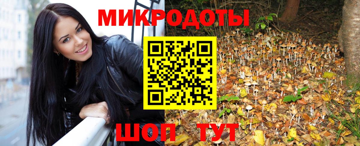 Кисловодск  Псилоцибиновые грибы мухоморы  Вход с VPN 
