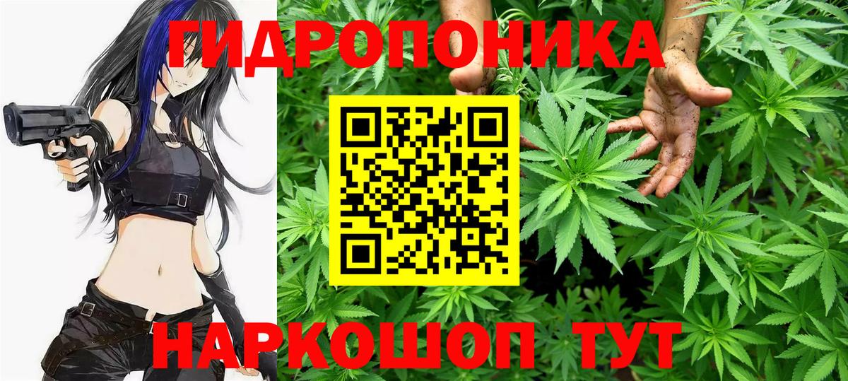 Канабис THC 21%  Конопля White Widow  Кисловодск  МАРИХУАНА ГИДРОПОН  Вход с VPN 